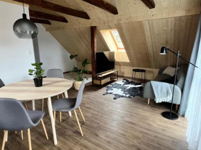 Sáňky Apartmány, Liberec